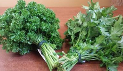 Parsley